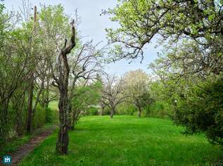Traumhaftes Grundstück mit Hanglage und Blick auf die Weinberge, 899000 €, Immobilien-Grund und Boden in 2380 Gemeinde Perchtoldsdorf