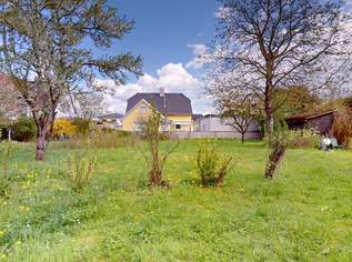 Ruhiges Baugrundstück am Ende einer Sackgasse - OHNE BAUZWANG, 266000 €, Immobilien-Grund und Boden in 4614 Marchtrenk