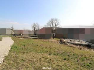 Platz für Zukunftspläne: Attraktives Grundstück in Weibern wartet auf Sie!, 94000 €, Immobilien-Grund und Boden in 4675 Weibern