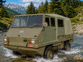 Steyr Puch Haflinger restauriert, 34800 €, Auto & Fahrrad-Autos in 9220 Velden am Wörther See