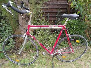 Gravelbike zu verkaufen, 400 €, Auto & Fahrrad-Fahrräder in 2351 Gemeinde Wiener Neudorf Gravelbike zu verkaufen, 400 €, Auto & Fahrrad-Fahrräder in 2351 Gemeinde Wiener Neudorf