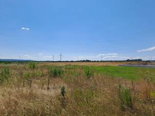 Baugrundstück am Feldesrand, 290000 €, Immobilien-Grund und Boden in 2486 Katastralgemeinde Pottendorf Baugrundstück am Feldesrand, 290000 €, Immobilien-Grund und Boden in 2486 Katastralgemeinde Pottendorf