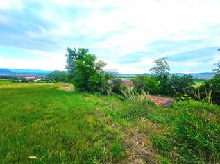 WEINKELLER MIT GRÜNBLICK, 42000 €, Immobilien-Grund und Boden in 2100 Gemeinde Stetten