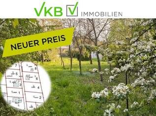 Großzügiges Grundstück guter Lage nähe Gallneukirchen! – Gemeinde Alberndorf in der Riedmark (GST 2438/3), 207000 €, Immobilien-Grund und Boden in 4211 Spattendorf Großzügiges Grundstück guter Lage nähe Gallneukirchen! – Gemeinde Alberndorf in der Riedmark (GST 2438/3), 207000 €, Immobilien-Grund und Boden in 4211 Spattendorf