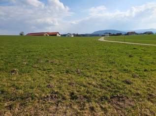 Landwirtschaftlicher Nutzgrund ca. 2,5 ha, 375000 €, Immobilien-Grund und Boden in 5211 Friedburg
