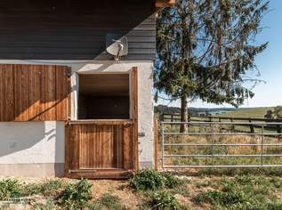 Exklusive REITERHOF in einzigartiger Alleinlage im Salzburger Seenland, 2950000 €, Immobilien-Gewerbeobjekte in 5164 Seeham Exklusive REITERHOF in einzigartiger Alleinlage im Salzburger Seenland, 2950000 €, Immobilien-Gewerbeobjekte in 5164 Seeham