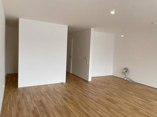 Neubau Eigentumswohnung mit ökologischem Fußabdruck, 315500 €, Immobilien-Wohnungen in Oberösterreich