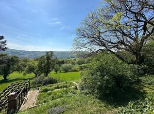 PUCHENAU: Einmalige Symbiose aus STADT und LAND - Perfekt situiertes Baugrundstück -Gesamtfläche ca. 3.935 m² (mit Altbestand), 0 €, Immobilien-Grund und Boden in 4048 Puchenau