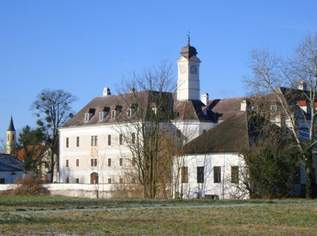 Herrschaftliches Wohnen im Schloss 142,85 m² 3,5 Zimmer Warmmiete!, 2094.76 €, Immobilien-Wohnungen in 2435 Gemeinde Ebergassing