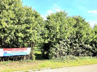 GOLS - Baugrundstück, Burgenland – Eigenheim-Traum, 222222 €, Immobilien-Grund und Boden in 7122 Gols GOLS - Baugrundstück, Burgenland – Eigenheim-Traum, 222222 €, Immobilien-Grund und Boden in 7122 Gols