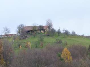 Rustikales Ferien-/Wochenendhaus mit Weinberg in Slowenien (Ivanjševci vrh, ca. 8 km von Bad Radkersburg) Rustikales Ferien-/Wochenendhaus mit Weinberg in Slowenien (Ivanjševci vrh, ca. 8 km von Bad Radkersburg)