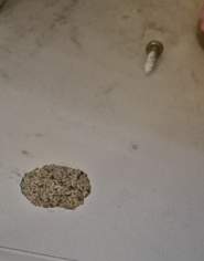 Verschenken Mömax Vitrine Verschenken Mömax Vitrine