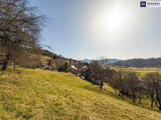 WOW! Einzigartiges Baugrundstück in Prenning bei Deutschfeistritz – 3.700 m², aufteilbar in 7 Parzellen, 370000 €, Immobilien-Grund und Boden in 8121 Prenning