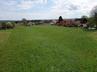 709,02m² Baugrundstück in Top Lage in Gralla, 133295.76 €, Immobilien-Grund und Boden in 8431 Gralla