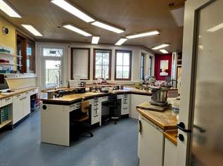 Ordination oder Gemeinschaftspraxis im Bezirk Grieskirchen, 2835 €, Immobilien-Gewerbeobjekte in 4710 Grieskirchen