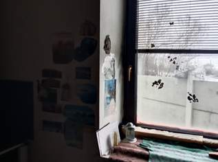 GARCIONAERENHAUS mit Potenzial ...Frei mit Fernblicke, 69000 €, Immobilien-Häuser in 3752 Kainreith