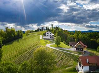 Weingut in einmaliger Alleinlage in der Südweststeiermark, 0 €, Immobilien-Gewerbeobjekte in 8544 Brunn