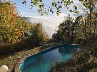 Landhaus auf 3000 m² TRAUMGRUND; absolute Grünruhelage in völliger IDYLLE !, 790000 €, Immobilien-Häuser in 3400 Gemeinde Klosterneuburg