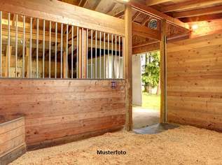 Historischer Reiterhof mit Gästezimmern und Ferienapartments, 3604500 €, Immobilien-Gewerbeobjekte in 5350 Aigen