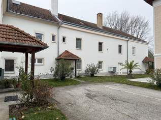 ERSTBEZUG nach RENOVIERUNG + BÜRO + SCHÖNER BLICK in den GARTEN!, 1187 €, Immobilien-Gewerbeobjekte in 2483 Katastralgemeinde Weigelsdorf ERSTBEZUG nach RENOVIERUNG + BÜRO + SCHÖNER BLICK in den GARTEN!, 1187 €, Immobilien-Gewerbeobjekte in 2483 Katastralgemeinde Weigelsdorf