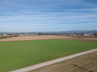 Landwirtschaftlicher Nutzgrund in Alkoven, 2410160 €, Immobilien-Grund und Boden in 4072 Alkoven