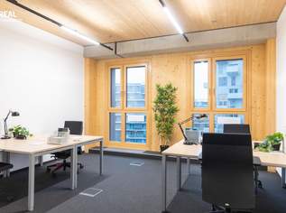 PRIVATE BÜROFLÄCHEN IN DER SEESTADT, 0 €, Immobilien-Gewerbeobjekte in 1220 Donaustadt