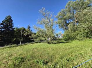 1.538 m² WOHNBAUGRUND ohne Bauzwang!, 488000 €, Immobilien-Grund und Boden in 4400 Steyr 1.538 m² WOHNBAUGRUND ohne Bauzwang!, 488000 €, Immobilien-Grund und Boden in 4400 Steyr