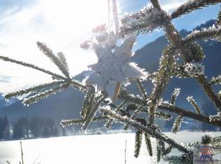 Weitläufige Grünfläche!, 0 €, Immobilien-Grund und Boden in 9822 Dösen