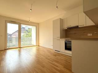 Kompakte + günstige Neubauwohnung mit MEGA-SÜD-LOGGIA (11,70m²) nahe Akademiepark, 725 €, Immobilien-Wohnungen in Niederösterreich