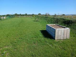 Garten ab 2026 zu vermieten Garten ab 2026 zu vermieten