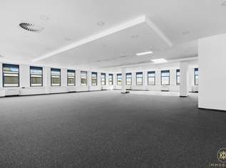 Hochzeitssal/ Fitnessstudio/ Akademie/ Vereinsheim/ Veranstaltungssaal - Gewerbeobjekt mit allen Möglichkeiten, 3920 €, Immobilien-Gewerbeobjekte in 1230 Liesing