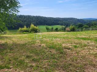 Viel Platz, wenig Gefälle – überwiegend ebener Baugrund mit Ausblick nahe Graz, 197000 €, Immobilien-Grund und Boden in 8074 Dürwagersbach Viel Platz, wenig Gefälle – überwiegend ebener Baugrund mit Ausblick nahe Graz, 197000 €, Immobilien-Grund und Boden in 8074 Dürwagersbach
