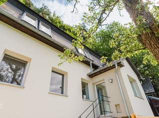 Kernsaniertes Wohnhaus in Thernberg – Naturnah wohnen in der Buckligen Welt, 229000 €, Immobilien-Häuser in 2832 Thernberg
