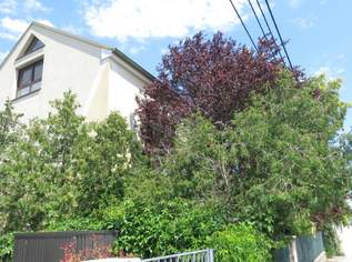 7-Zimmer Familienhaus mit Wintergarten und idyllischem Garten !, 535000 €, Immobilien-Häuser in 1220 Donaustadt 7-Zimmer Familienhaus mit Wintergarten und idyllischem Garten !, 535000 €, Immobilien-Häuser in 1220 Donaustadt