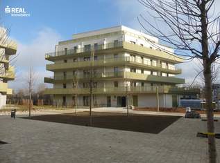 Jetzt einziehen - Hirschfeld – Naturnah wohnen – Wärmeversorgung durch Geothermie, 543000 €, Immobilien-Wohnungen in 1210 Floridsdorf
