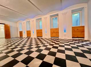 Stil & Style Loft in Bestlage, 649000 €, Immobilien-Gewerbeobjekte in 1080 Josefstadt