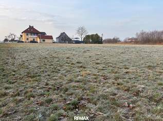 Voll aufgeschlossenes Grundstück in Autobahnnähe - kein Bauzwang, 0 €, Immobilien-Grund und Boden in 4975 Suben Voll aufgeschlossenes Grundstück in Autobahnnähe - kein Bauzwang, 0 €, Immobilien-Grund und Boden in 4975 Suben