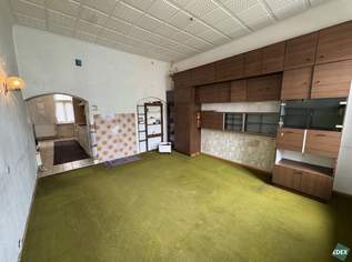 Sanierungsbedürftige 3-Zimmerwohnung mit Möglichkeit zur Umgestaltung beim Erich-Auer-Park, 289000 €, Immobilien-Wohnungen in 1140 Penzing