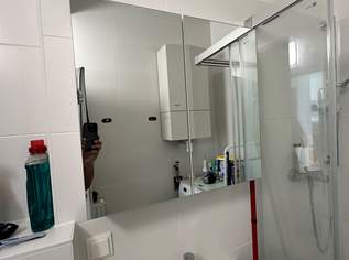 Spiegelschrank Badezimmer