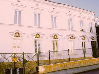 Mehrfamilienvilla, 3990000 €, Immobilien-Häuser in 1180 Währing Mehrfamilienvilla, 3990000 €, Immobilien-Häuser in 1180 Währing