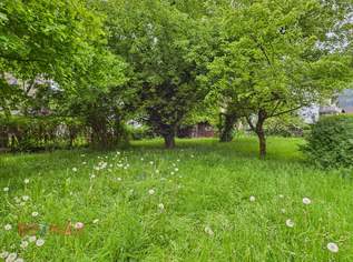 Baugrund in Hohenems: Ruhige Lage, Zentrumsnähe, großes Potenzial, 0 €, Immobilien-Grund und Boden in 6845 Hohenems Baugrund in Hohenems: Ruhige Lage, Zentrumsnähe, großes Potenzial, 0 €, Immobilien-Grund und Boden in 6845 Hohenems