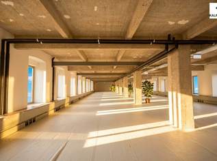 LOFT-BÜROS IM FABIANI-HAUS, 6535.02 €, Immobilien-Gewerbeobjekte in 1030 Landstraße