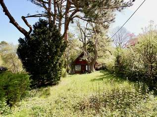 WILLKOMMEN IN IHREM PERSÖNLICHEN PARADIES | Das Kleingartengrundstück für Ihr Haus, 360000 €, Immobilien-Grund und Boden in 1130 Hietzing WILLKOMMEN IN IHREM PERSÖNLICHEN PARADIES | Das Kleingartengrundstück für Ihr Haus, 360000 €, Immobilien-Grund und Boden in 1130 Hietzing