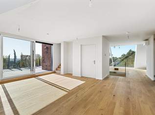 Penthouse mit Blick in die Weinberge, 1990000 €, Immobilien-Wohnungen in 1190 Döbling