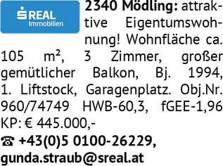 2340 Mödling: attraktive, 445000 €, Immobilien-Wohnungen in 2340 Gemeinde Mödling