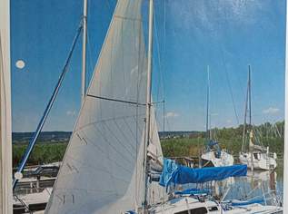 Segeljacht , 6900 €, Auto & Fahrrad-Boote in 7091 Gemeinde Breitenbrunn