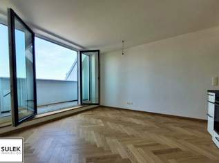 DG-Maisonette-Wohnung mit Terrasse - 3 Zimmer - 2 WC's - 1 Duschbad - ab 1.8.26 - nahe Mariahilfer Str./Westbahnhof, 1536.86 €, Immobilien-Wohnungen in 1150 Rudolfsheim-Fünfhaus