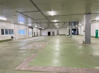 Lagerhalle zu mieten! 2.142m² Nfl. - Lagerhalle in Bruck an der Mur, 14400 €, Immobilien-Gewerbeobjekte in 8600 Oberdorf