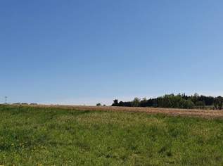 ***TOP LAGE*** Exklusives Baugrundstück mit Panoramablick in Ansfelden, 0 €, Immobilien-Grund und Boden in 4053 Ansfelden ***TOP LAGE*** Exklusives Baugrundstück mit Panoramablick in Ansfelden, 0 €, Immobilien-Grund und Boden in 4053 Ansfelden