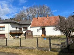 2 Häuser, ruhig gelegen, mit ebenem Garten, 188500 €, Immobilien-Häuser in 7501 Oberdorf im Burgenland